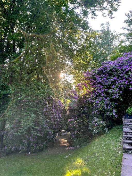 Sorpe Lodge - Entspannte Urlaubstage Am See! Langscheid  Exteriör bild